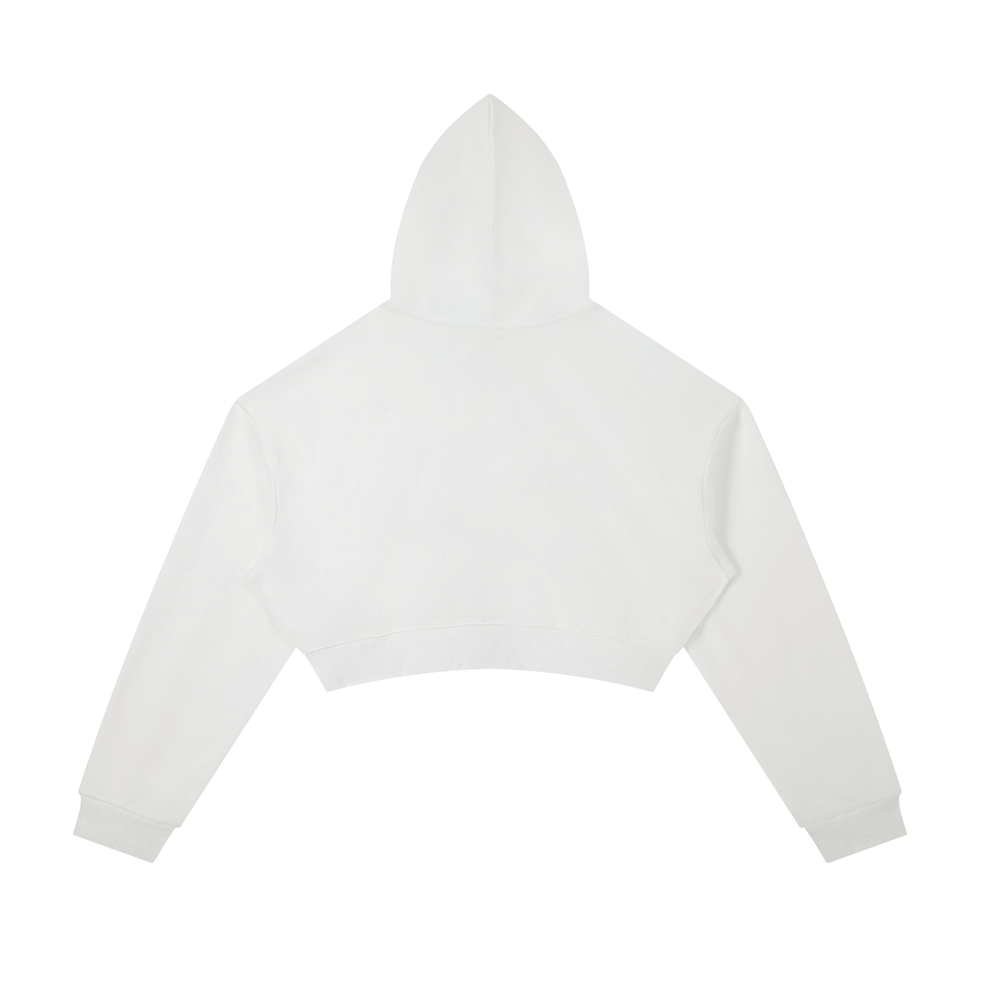 AlleyMutt Light Cropped Zip-Up Hoodie
